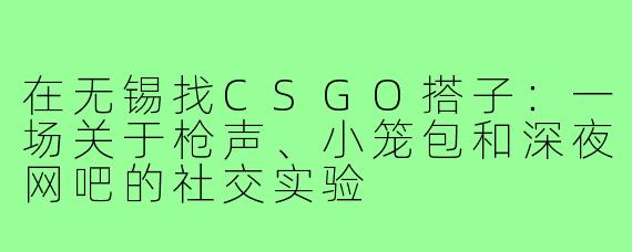 在无锡找CSGO搭子:一场关于枪声、小笼包和深夜网吧的社交实验