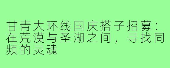 甘青大环线国庆搭子招募:在荒漠与圣湖之间,寻找同频的灵魂