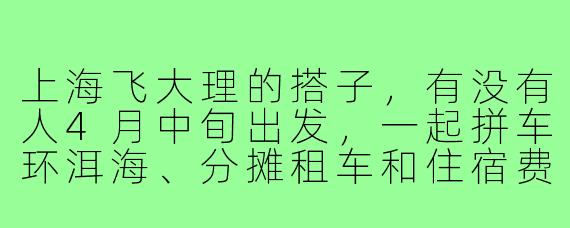 上海飞大理的搭子,有没有人4月中旬出发,一起拼车环洱海、分摊租车和住宿费用?