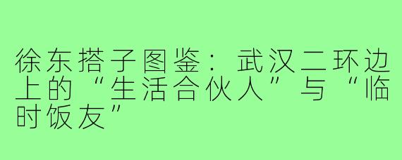徐东搭子图鉴:武汉二环边上的“生活合伙人”与“临时饭友”
