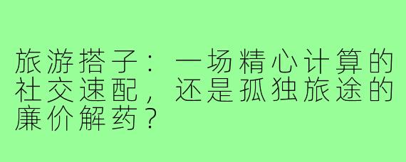 旅游搭子：一场精心计算的社交速配，还是孤独旅途的廉价解药？