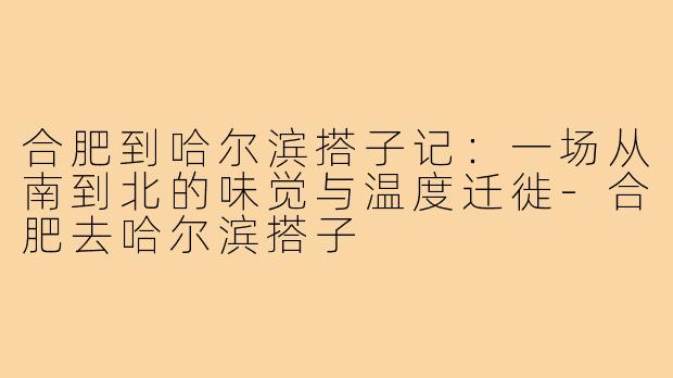 合肥到哈尔滨搭子记:一场从南到北的味觉与温度迁徙-合肥去哈尔滨搭子