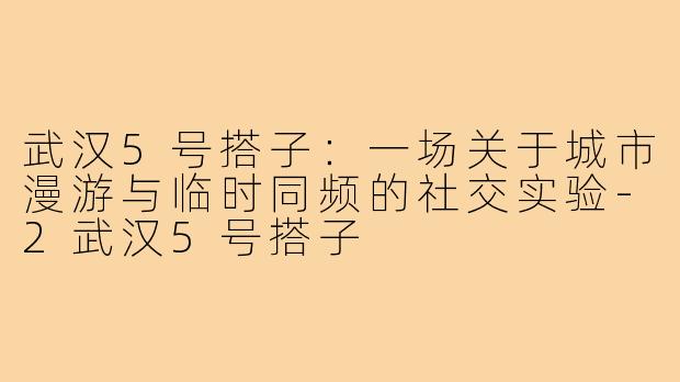 武汉5号搭子:一场关于城市漫游与临时同频的社交实验-2武汉5号搭子