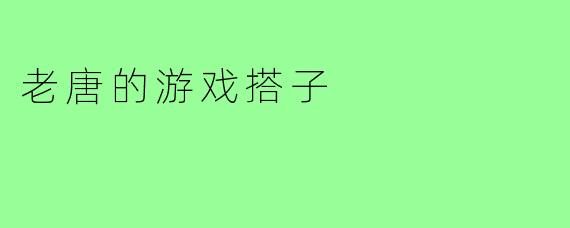 老唐的游戏搭子