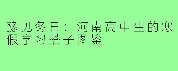 豫见冬日：河南高中生的寒假学习搭子图鉴