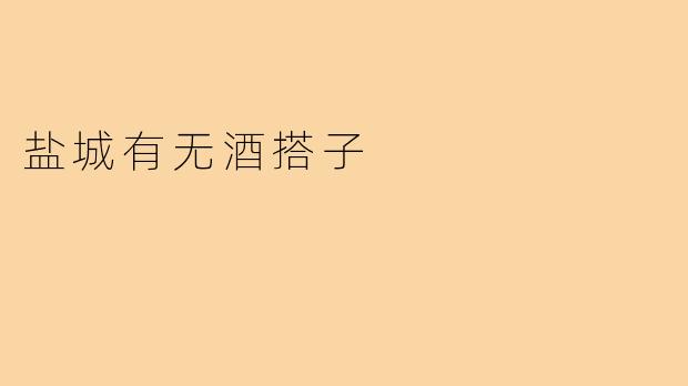 盐城有无酒搭子