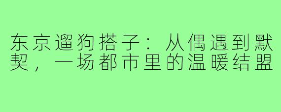 东京遛狗搭子:从偶遇到默契,一场都市里的温暖结盟