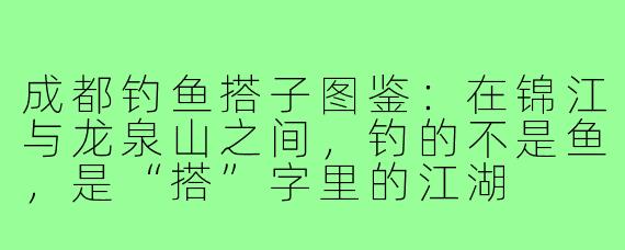 成都钓鱼搭子图鉴:在锦江与龙泉山之间,钓的不是鱼,是“搭”字里的江湖