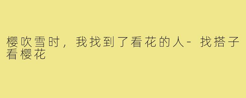 樱吹雪时，我找到了看花的人-找搭子看樱花