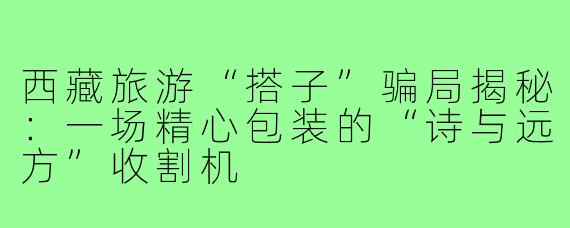 西藏旅游“搭子”骗局揭秘:一场精心包装的“诗与远方”收割机