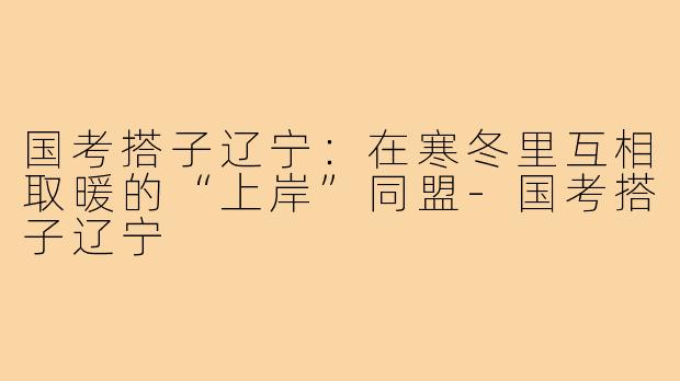 国考搭子辽宁:在寒冬里互相取暖的“上岸”同盟-国考搭子辽宁