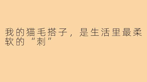 我的猫毛搭子，是生活里最柔软的“刺”