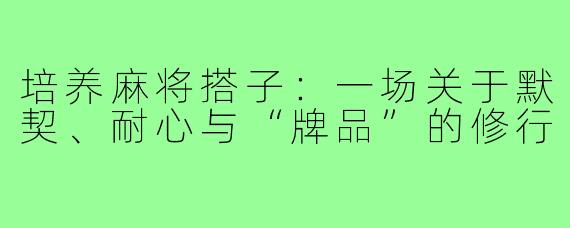 培养麻将搭子:一场关于默契、耐心与“牌品”的修行