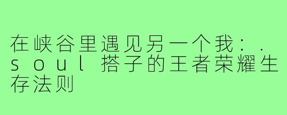 在峡谷里遇见另一个我:.soul搭子的王者荣耀生存法则