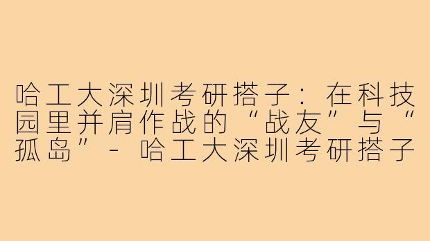 哈工大深圳考研搭子：在科技园里并肩作战的“战友”与“孤岛”-哈工大深圳考研搭子