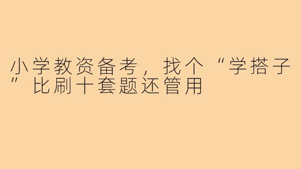 小学教资备考,找个“学搭子”比刷十套题还管用