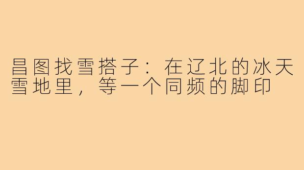 昌图找雪搭子:在辽北的冰天雪地里,等一个同频的脚印