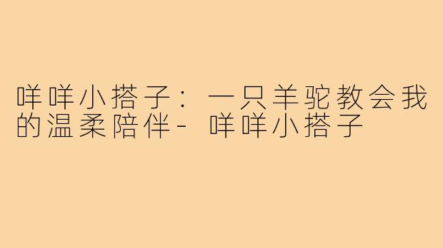 咩咩小搭子:一只羊驼教会我的温柔陪伴-咩咩小搭子