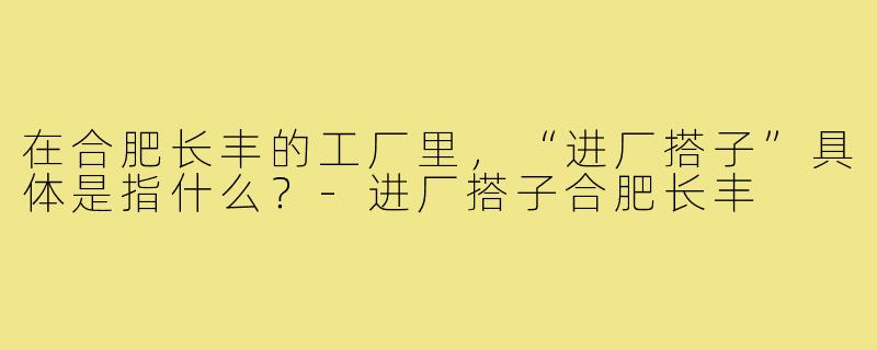 在合肥长丰的工厂里，“进厂搭子”具体是指什么？-进厂搭子合肥长丰