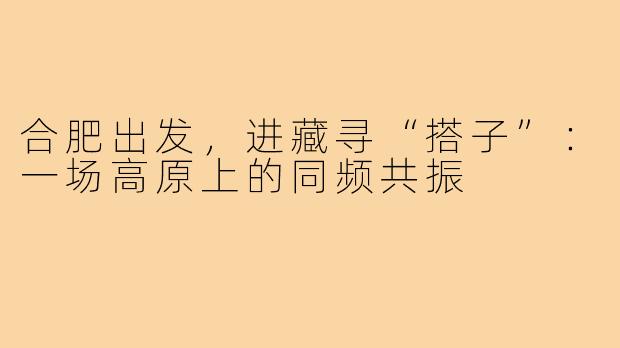合肥出发,进藏寻“搭子”:一场高原上的同频共振