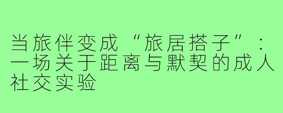 当旅伴变成“旅居搭子”:一场关于距离与默契的成人社交实验