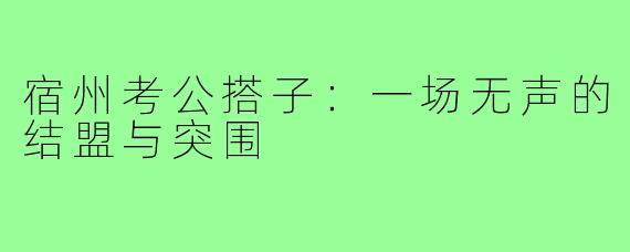 宿州考公搭子:一场无声的结盟与突围