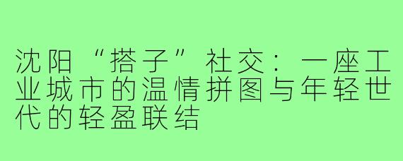 沈阳“搭子”社交:一座工业城市的温情拼图与年轻世代的轻盈联结