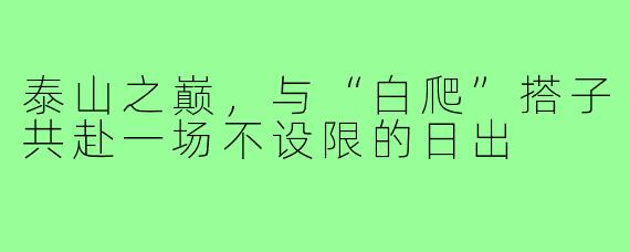 泰山之巅,与“白爬”搭子共赴一场不设限的日出