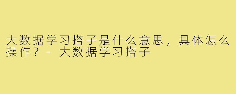 大数据学习搭子是什么意思,具体怎么操作?-大数据学习搭子
