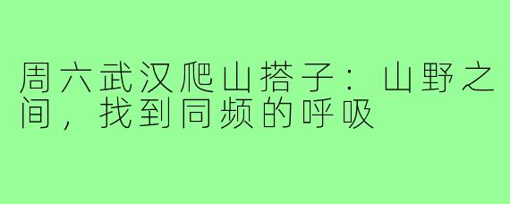 周六武汉爬山搭子：山野之间，找到同频的呼吸
