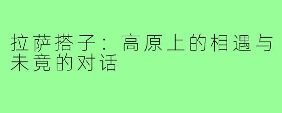 拉萨搭子:高原上的相遇与未竟的对话