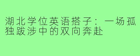 湖北学位英语搭子:一场孤独跋涉中的双向奔赴
