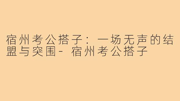 宿州考公搭子:一场无声的结盟与突围-宿州考公搭子