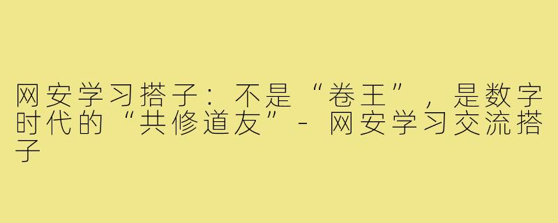 网安学习搭子:不是“卷王”,是数字时代的“共修道友”-网安学习交流搭子