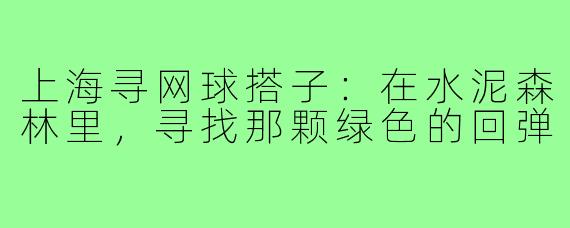 上海寻网球搭子:在水泥森林里,寻找那颗绿色的回弹