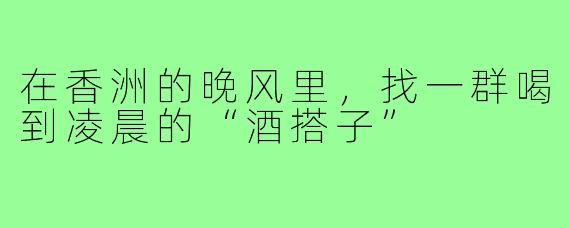 在香洲的晚风里,找一群喝到凌晨的“酒搭子”