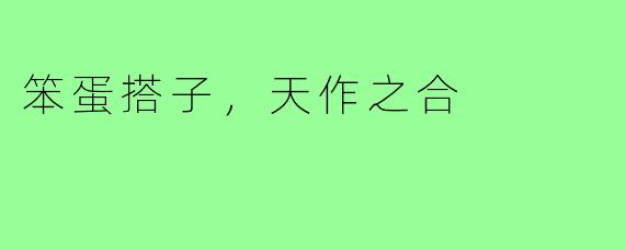笨蛋搭子,天作之合