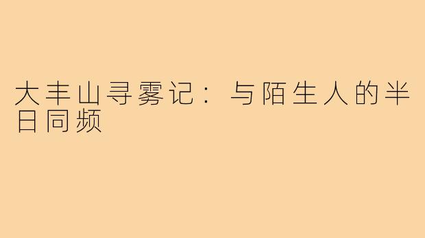 大丰山寻雾记:与陌生人的半日同频