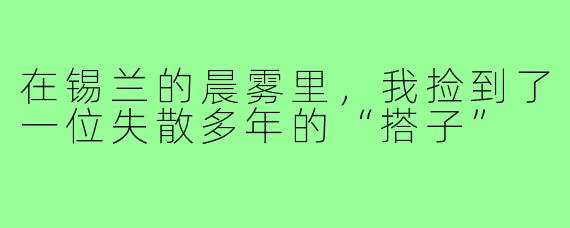 在锡兰的晨雾里,我捡到了一位失散多年的“搭子”