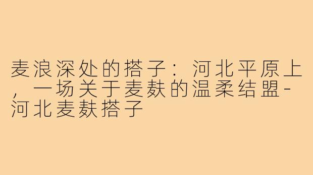 麦浪深处的搭子:河北平原上,一场关于麦麸的温柔结盟-河北麦麸搭子