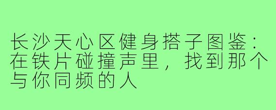 长沙天心区健身搭子图鉴:在铁片碰撞声里,找到那个与你同频的人