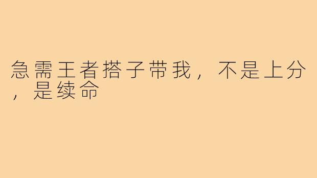 急需王者搭子带我,不是上分,是续命