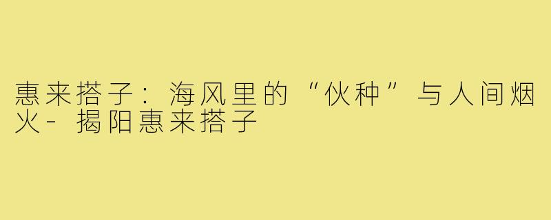 惠来搭子：海风里的“伙种”与人间烟火-揭阳惠来搭子