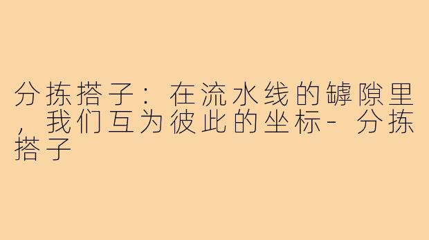分拣搭子:在流水线的罅隙里,我们互为彼此的坐标-分拣搭子