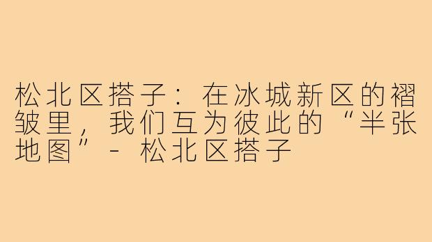 松北区搭子:在冰城新区的褶皱里,我们互为彼此的“半张地图”-松北区搭子