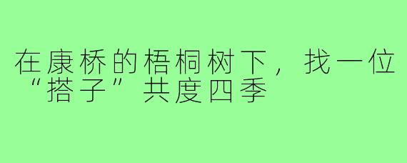 在康桥的梧桐树下,找一位“搭子”共度四季