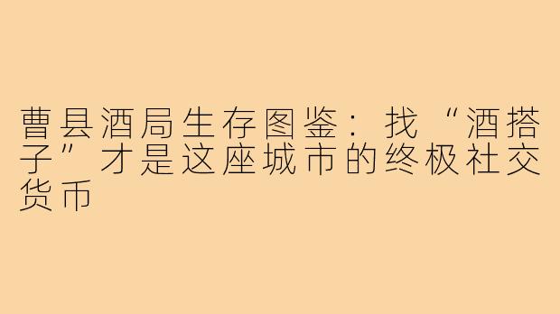 曹县酒局生存图鉴:找“酒搭子”才是这座城市的终极社交货币