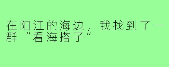 在阳江的海边,我找到了一群“看海搭子”