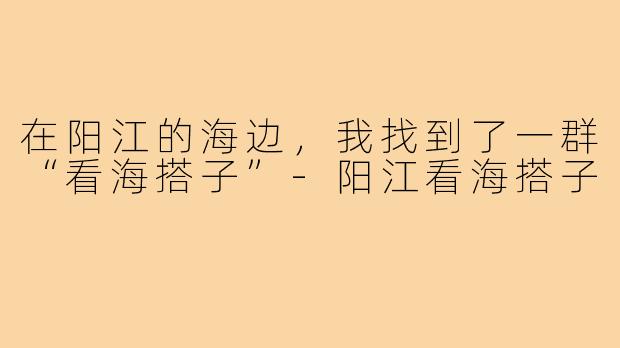 在阳江的海边,我找到了一群“看海搭子”-阳江看海搭子
