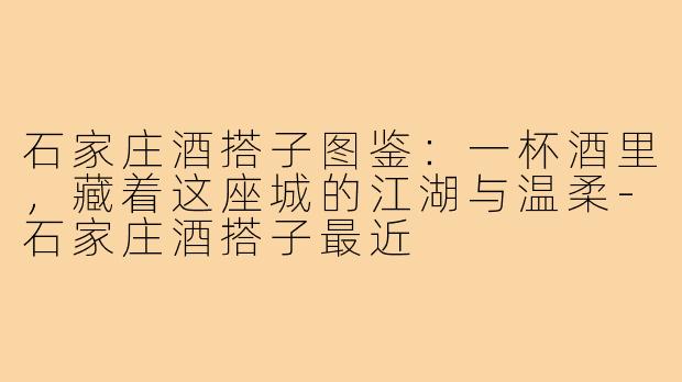 石家庄酒搭子图鉴:一杯酒里,藏着这座城的江湖与温柔-石家庄酒搭子最近